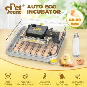 Auto Egg Incubator 48-60 Eggs Hatcher Breeder Automatic Turning Stop Humidity Control Hatching Chicken Duck Bird Quail Poultry Water Refill Candler